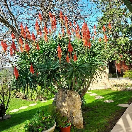 Casat5, Ferias, Piscina Privativa. Agueda, Aveiro *