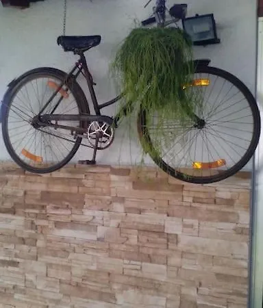 Casat5, Ferias, Piscina Privativa. Agueda, Aveiro אגואדה