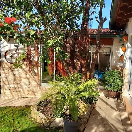 Casat5, Ferias, Piscina Privativa. Agueda, Aveiro * Águeda