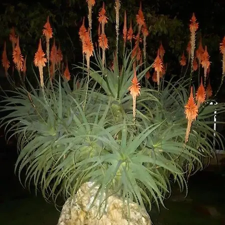 Feriehus Casat5, Ferias, Piscina Privativa. Agueda, Aveiro *