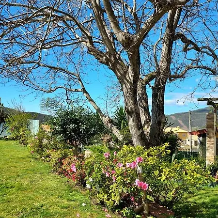Casat5, Ferias, Piscina Privativa. Agueda, Aveiro Feriehus