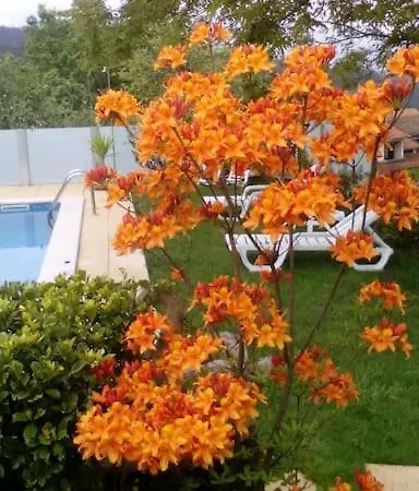Casat5, Ferias, Piscina Privativa. Agueda, Aveiro Prázdninový dům