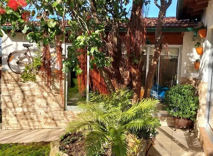 Casat5, Ferias, Piscina Privativa. Agueda, Aveiro * Águeda