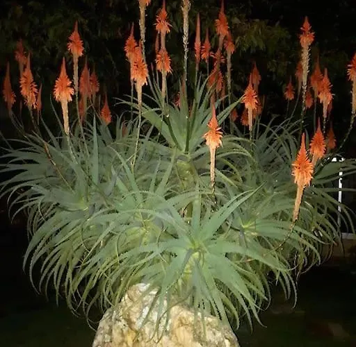 Prázdninový dům Casat5, Ferias, Piscina Privativa. Agueda, Aveiro *