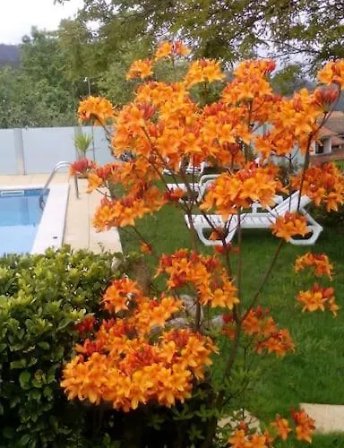 Casat5, Ferias, Piscina Privativa. Agueda, Aveiro Prázdninový dům